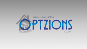 optzions real estate and mortgage southwest florida